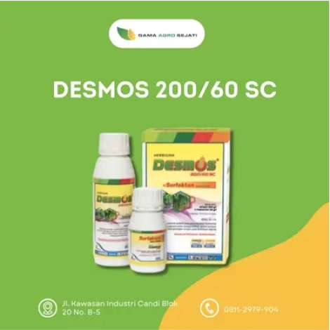 DESMOS 200/60 SC