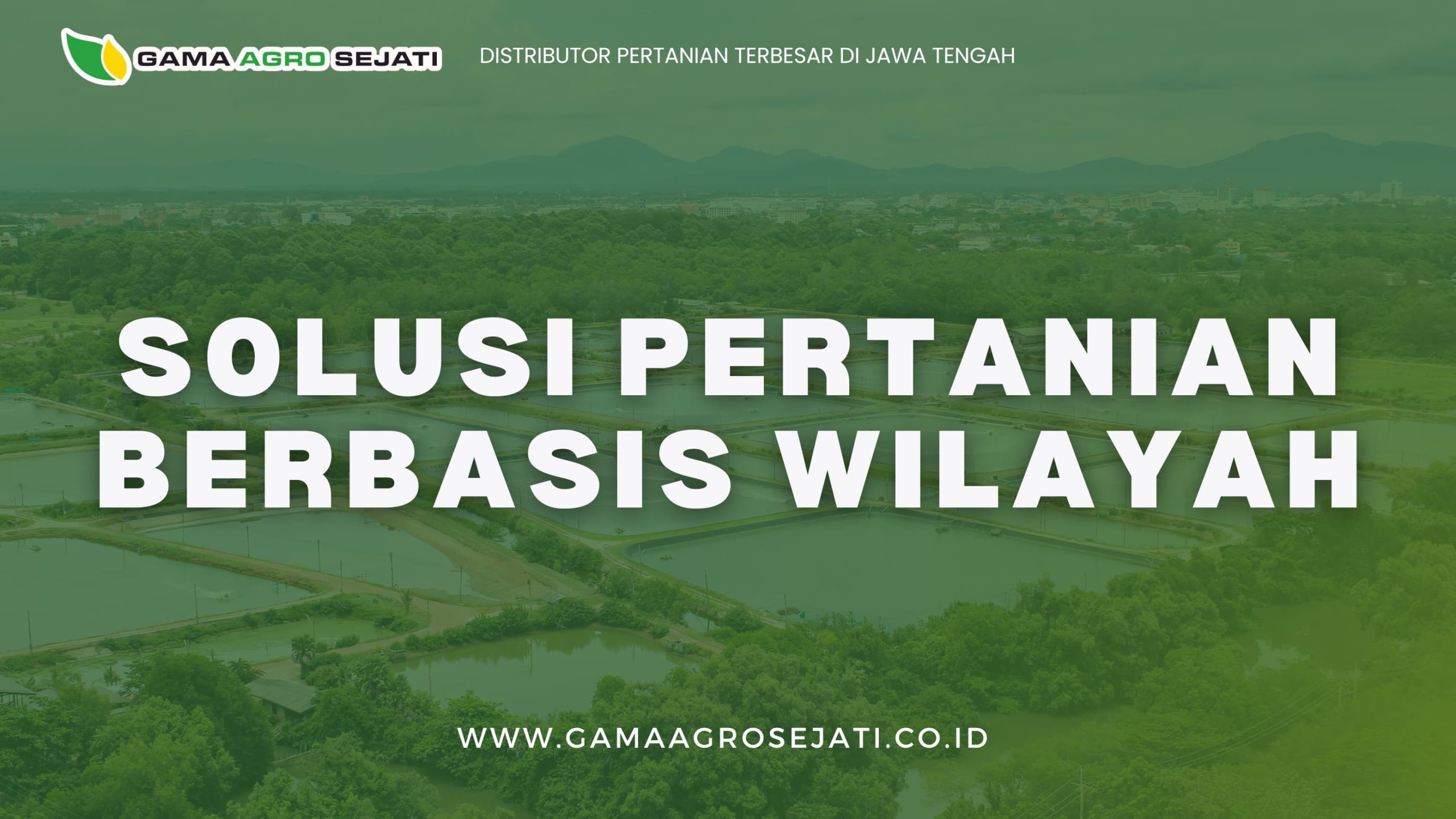 Pertanian Tidak Pernah Seragam, Begitu Juga Solusinya
Pertanian di Indonesia memiliki karakteristik yang sangat beragam. Tanaman yang sama bisa menghadapi hama, cuaca, atau tantangan teknis yang berbeda tergantung di mana ia ditanam. Itulah sebabnya, satu solusi tidak akan pernah cukup untuk menjawab semua masalah di lapangan.
Gama Agro Sejati merancang sistem distribusi dan layanan teknis yang tidak seragam, melainkan spesifik berdasarkan kebutuhan wilayah. Pendekatan ini menjadi kunci dalam menjawab kebutuhan nyata petani, baik di sentra padi Jawa Tengah maupun di lahan tebu dan hortikultura NTB.
Kenapa Pendekatan Wilayah Jadi Kunci?
Kondisi agroklimat, jenis tanaman dominan, siklus tanam, hingga pola serangan hama sangat ditentukan oleh wilayah. Sebagai contoh:
Petani di Jawa Tengah lebih banyak membutuhkan produk-produk untuk tanaman pangan dan hortikultura, seperti pengendali ulat grayak atau hama thrips pada cabai dan tomat.
Di NTB, banyak kebun yang fokus pada tebu, bawang merah, dan tembakau, dengan karakter hama dan penyakit yang berbeda pula.
Jika semua daerah dipasok dengan produk yang sama, risiko ketidaksesuaian produk bisa terjadi. Baik dari sisi efektivitas, maupun efisiensi biaya. Maka dari itu, pendekatan berbasis wilayah tidak hanya cermat, tetapi juga strategis.
Solusi Gama Agro: Distribusi yang Disesuaikan, Bukan Disamaratakan
Di Gama Agro Sejati, setiap wilayah tidak hanya dilihat sebagai titik pengiriman, tapi sebagai ekosistem pertanian yang unik. Tim kami bekerja langsung dengan petani, distributor lokal, dan bahkan manajemen perkebunan untuk menyusun strategi produk dan logistik yang relevan.
Beberapa langkah nyata yang dilakukan:
Pemetaan kebutuhan tiap wilayah, baik dari jenis tanaman utama, kondisi tanah, hingga tren penyakit dan hama.
Distribusi produk berdasarkan permintaan dan kebutuhan aktual, bukan hanya berdasarkan stok pusat.
Koordinasi intensif dengan tim lapangan dan agronomis, yang memberikan feedback langsung dari kondisi tanaman di lapangan.
Ketersediaan produk khusus untuk tanaman khas daerah tertentu, seperti perlindungan daun bawah pada bawang merah di NTB atau fungisida untuk musim hujan di dataran tinggi Jawa.
Peran Tim Lapangan: Bukan Sekadar Sales, Tapi Konsultan Pertanian Wilayah
Keberhasilan pendekatan lokal ini tidak lepas dari peran aktif tim lapangan Gama Agro. Mereka bukan sekadar tenaga distribusi, tetapi mitra teknis bagi petani dan kebun besar.
Tim kami memberikan rekomendasi produk berdasarkan analisis geografi, musim tanam, dan tantangan yang sedang dihadapi petani di lokasi. Rekomendasi tersebut diberikan berdasarkan data, pengalaman, dan pemahaman menyeluruh terhadap wilayah setempat.
Hasilnya? Efisiensi dan Kepuasan Mitra di Lapanga
Pendekatan distribusi berbasis wilayah ini telah memberikan banyak dampak positif:
Produk yang dikirim lebih relevan dan sesuai kebutuhan.
Penggunaan produk menjadi lebih efisien, karena disesuaikan dengan intensitas serangan dan fase tanaman.
Petani dan klien merasa lebih dipahami, karena solusi yang ditawarkan benar-benar menjawab masalah mereka.
Stok gudang lebih terkontrol karena disesuaikan dengan pola tanam lokal.
Komitmen Kami: Solusi yang Nyata, Sesuai Lokasi
Gama Agro Sejati percaya bahwa solusi terbaik adalah solusi yang kontekstual terutama dalam skala wilayah. Dengan jaringan distribusi yang luas, pengalaman teknis, dan pemahaman lapangan, kami terus hadir sebagai mitra pertanian yang fleksibel dan adaptif. Karena bagi kami, mendistribusikan produk hanyalah permulaan. Memberikan solusi yang benar-benar dibutuhkan di lokasi yang tepat, itulah nilai tambah sebenarnya.