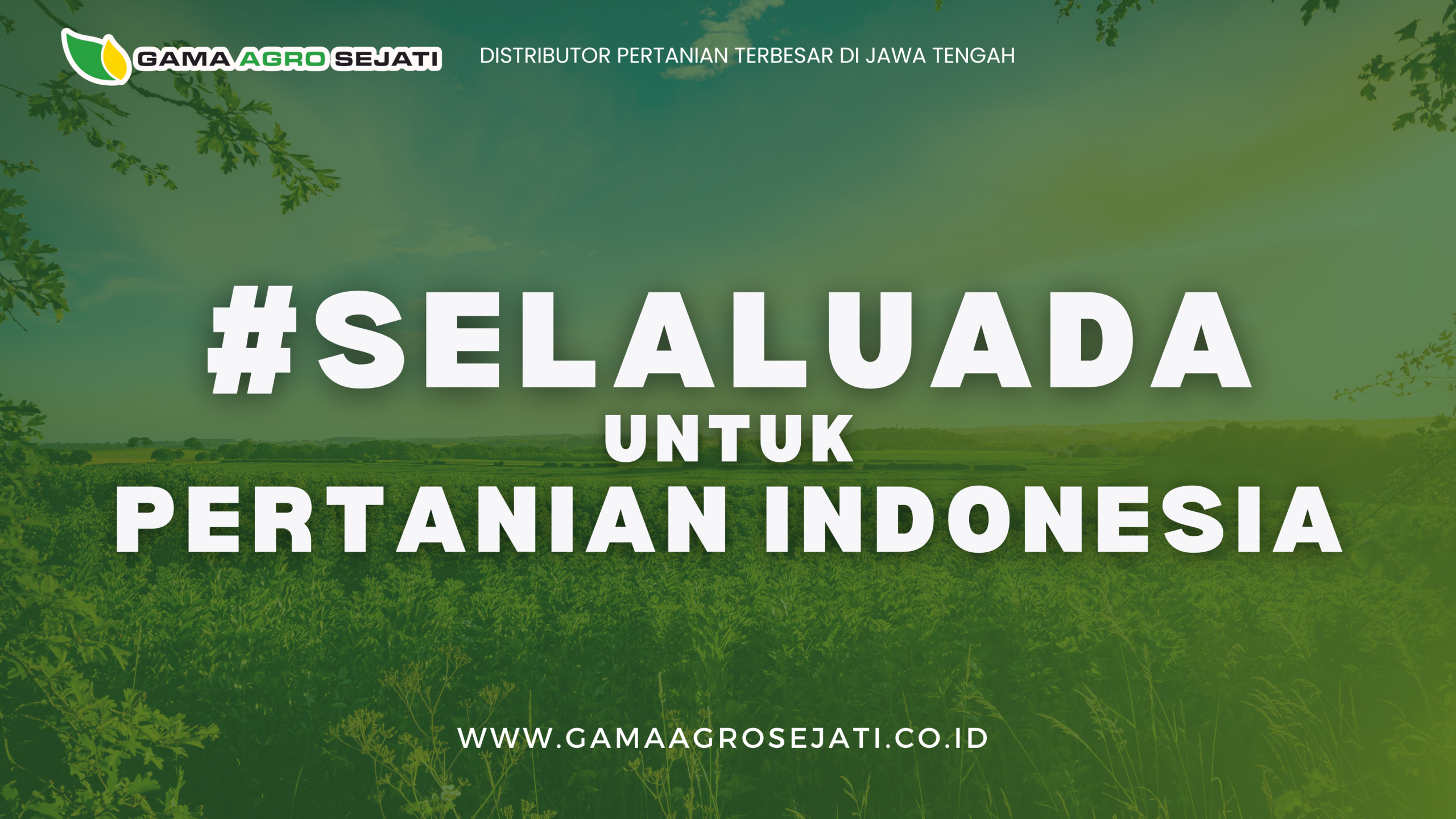 Kenapa Petani Percaya Gama Agro Sejati
Dalam dunia pertanian yang dinamis dan penuh tantangan, kepercayaan petani tidak bisa dibentuk dalam satu kali transaksi. Ia tumbuh dari komitmen yang terus dibuktikan, dari pelayanan yang konsisten, dan dari kemampuan sebuah perusahaan untuk hadir tepat saat dibutuhkan. Dan inilah alasan mengapa Gama Agro Sejati terus dipercaya oleh petani, toko pertanian, hingga pelaku agribisnis di seluruh Indonesia.
Distributor yang Hadir Lebih dari Sekadar Menjual Produk
Sejak tahun 2008, Gama Agro Sejati telah membuktikan diri sebagai distributor produk pertanian terpercaya yang tidak hanya fokus pada pengiriman barang. Lebih dari itu, Gama Agro Sejati dikenal sebagai mitra lapangan yang selalu ada mendampingi petani, baik saat musim tanam, saat panen, bahkan saat menghadapi masalah teknis di lahan.
Tagar #SelaluAda bukan hanya jargon branding, tapi sudah menjadi cara kerja. Setiap pesanan yang diterima direspons cepat, setiap produk yang dikirim dipastikan keasliannya, dan setiap kendala teknis yang dilaporkan oleh mitra ditindaklanjuti langsung oleh tim ahli di lapangan.
Layanan Purna Jual yang Dirasakan Langsung oleh Petani
Salah satu faktor utama kepercayaan yang diberikan oleh petani kepada Gama Agro Sejati adalah layanan purna jual yang nyata. Tidak sedikit petani yang merasa didampingi penuh, bahkan setelah produk diterima dan digunakan.
Pendekatan after-sales Gama Agro Sejati meliputi:
Monitoring langsung ke lapangan
Evaluasi penggunaan produk
Konsultasi teknis berkala dengan tim lapangan
Dengan pola ini, hasil dari penggunaan produk pertanian dapat dijaga konsistensinya. Petani tidak merasa berjalan sendiri, karena solusi dan dukungan selalu disediakan kapan pun dibutuhkan.
Akses Produk dan Konsultasi yang Mudah
Produk-produk unggulan seperti insektisida, fungisida, herbisida, pupuk, hingga alat bantu pertanian kini dapat diakses lebih mudah melalui platform digital seperti Shopee, Tokopedia, dan TikTok Shop resmi Gama Agro Sejati. Sementara untuk mitra dan toko pertanian, layanan pengiriman langsung dan sistem distribusi regional telah dijalankan dengan efisien.
Di sisi lain, edukasi dan pendampingan teknis tidak pernah dilepaskan. Melalui media sosial, WhatsApp, hingga kunjungan langsung, petani bisa berkonsultasi soal dosis, pencampuran, maupun strategi pengendalian OPT (Organisme Pengganggu Tumbuhan) yang sesuai dengan kondisi lokal.
#SelaluAda Itu Realita, Bukan Sekadar Slogan
Kepercayaan bukan dibeli dengan diskon. Ia dibangun dari konsistensi pelayanan dan kualitas yang dijaga. Di setiap hektar lahan yang berhasil dipulihkan, di setiap panen yang berhasil ditingkatkan, Gama Agro Sejati terus membuktikan bahwa kami bukan sekadar distributor, kami adalah mitra sejati pertanian Indonesia.
Gama Agro Sejati. Distributor produk pertanian resmi yang #selaluada untuk petani dan pertanian Indonesia.