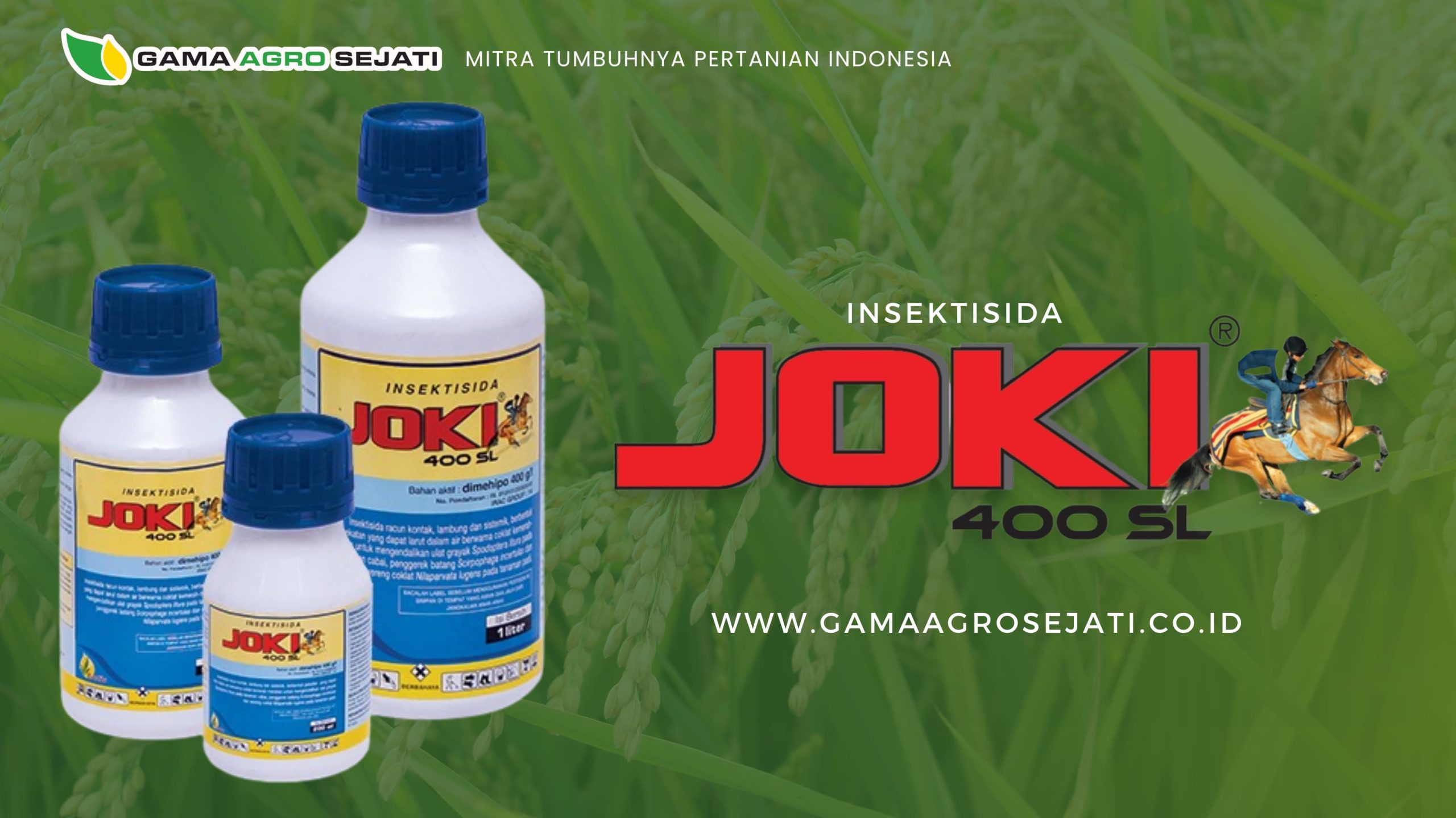 Gama Agro Sejati menghadirkan produk unggulan untuk perlindungan tanaman, khususnya padi. JOKI 400 SL adalah insektisida dengan kandungan bahan aktif tinggi yang bekerja secara kontak, lambung, dan sistemik. Dirancang khusus untuk mengendalikan penggerek batang padi, wereng cokelat, serta hama-hama utama lainnya, JOKI 400 SL menawarkan perlindungan tanaman yang lebih tuntas dan lebih ekonomis.
Apa Itu JOKI 400 SL
JOKI 400 SL merupakan insektisida racun kontak, lambung, dan sistemik yang mengandung bahan aktif dimehipo 400 g/L. Produk ini bekerja dengan menyerang sistem saraf hama, menyebabkan kelumpuhan, menghentikan aktivitas makan, dan akhirnya mematikan hama secara efektif.
Keunggulan JOKI 400 SL
Penggunaan JOKI 400 SL memberikan sejumlah manfaat yang nyata di lapangan:
1. Daya Berantas Tinggi
Mengandung dimehipo konsentrasi tinggi, membuat JOKI 400 SL sangat efektif membunuh hama dalam waktu cepat.
2. Sistemik dan Kontak Sekaligus
Tidak hanya bekerja melalui semprotan langsung (racun kontak/lambung), JOKI juga terserap ke jaringan tanaman, sehingga mampu menjangkau hama yang bersembunyi di dalam batang.
3. Tahan Cuaca
Cepat diserap tanaman, efektivitasnya tidak terganggu oleh air hujan atau penguapan, menjadikan produk ini ideal untuk kondisi lahan terbuka.
4. Ramah Lingkungan
Tidak membahayakan musuh alami atau ikan di sekitar area pertanian, membuatnya aman untuk program pertanian berkelanjutan.
Hama Sasaran JOKI 400 SL
Insektisida JOKI 400 SL sangat efektif untuk mengendalikan:
Penggerek batang padi
Wereng cokelat
Hama tersembunyi lainnya yang sulit dijangkau oleh insektisida biasa
Cara Aplikasi JOKI 400 SL
Tanaman sasaran: Padi
Waktu aplikasi: Saat gejala serangan hama mulai terlihat atau berdasarkan monitoring
Dosis penggunaan: Ikuti petunjuk label dan sesuaikan dengan tingkat serangan
Mengapa Petani Memilih JOKI 400 SL?
Petani memilih JOKI 400 SL karena:
Efektif membunuh hama secara cepat
Efisien dalam biaya dan tenaga
Aman digunakan berulang dalam satu musim tanam
Mendukung hasil panen yang lebih optimal
Dapatkan JOKI 400 SL di Jaringan Gama Agro Sejati
Sebagai distributor dan mitra pertanian terpercaya sejak 2008, Gama Agro Sejati menyediakan JOKI 400 SL melalui jaringan toko pertanian modern dan tim support plantation di seluruh Indonesia, termasuk di wilayah Jawa Tengah dan NTB.
🔍 Hubungi Kami
Ingin jadi mitra distributor atau cari tahu lebih banyak tentang produk ini?
Silakan hubungi tim Gama Agro Sejati melalui halaman kontak kami, atau kunjungi toko pertanian terdekat di daerah Anda.
Gama Agro Sejati – Mendukung kemajuan pertanian Indonesia melalui produk-produk unggulan dan layanan terbaik sejak 2008.