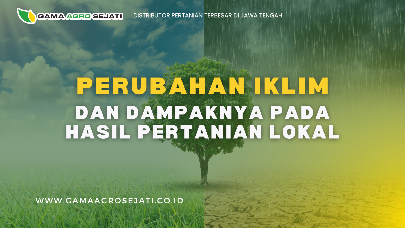 Salinan dari GAMA AGRO SEJATI (5)