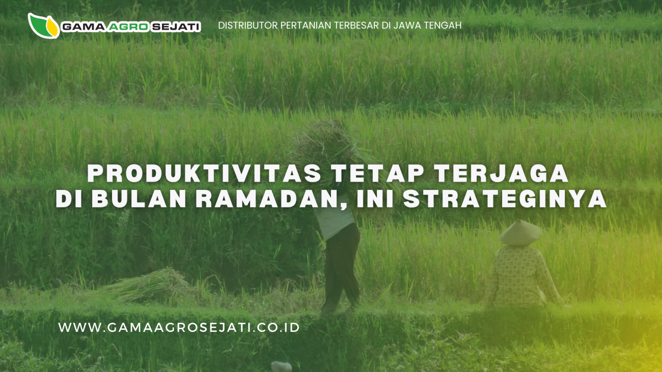 Salinan dari GAMA AGRO SEJATI (12)