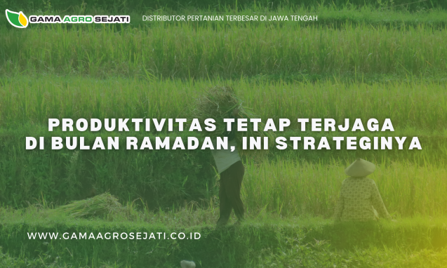 Salinan dari GAMA AGRO SEJATI (12)