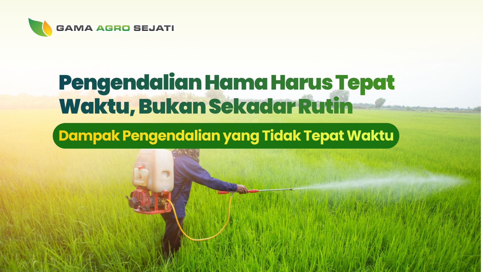 website gama (5)