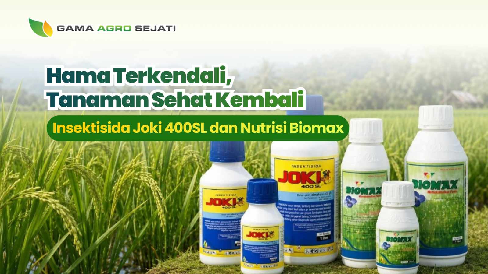 website gama (12)