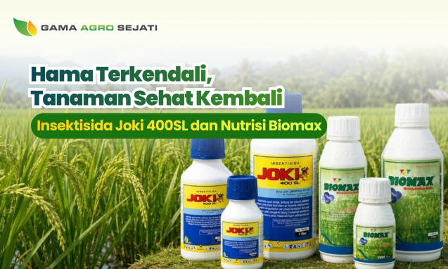 website gama (12)