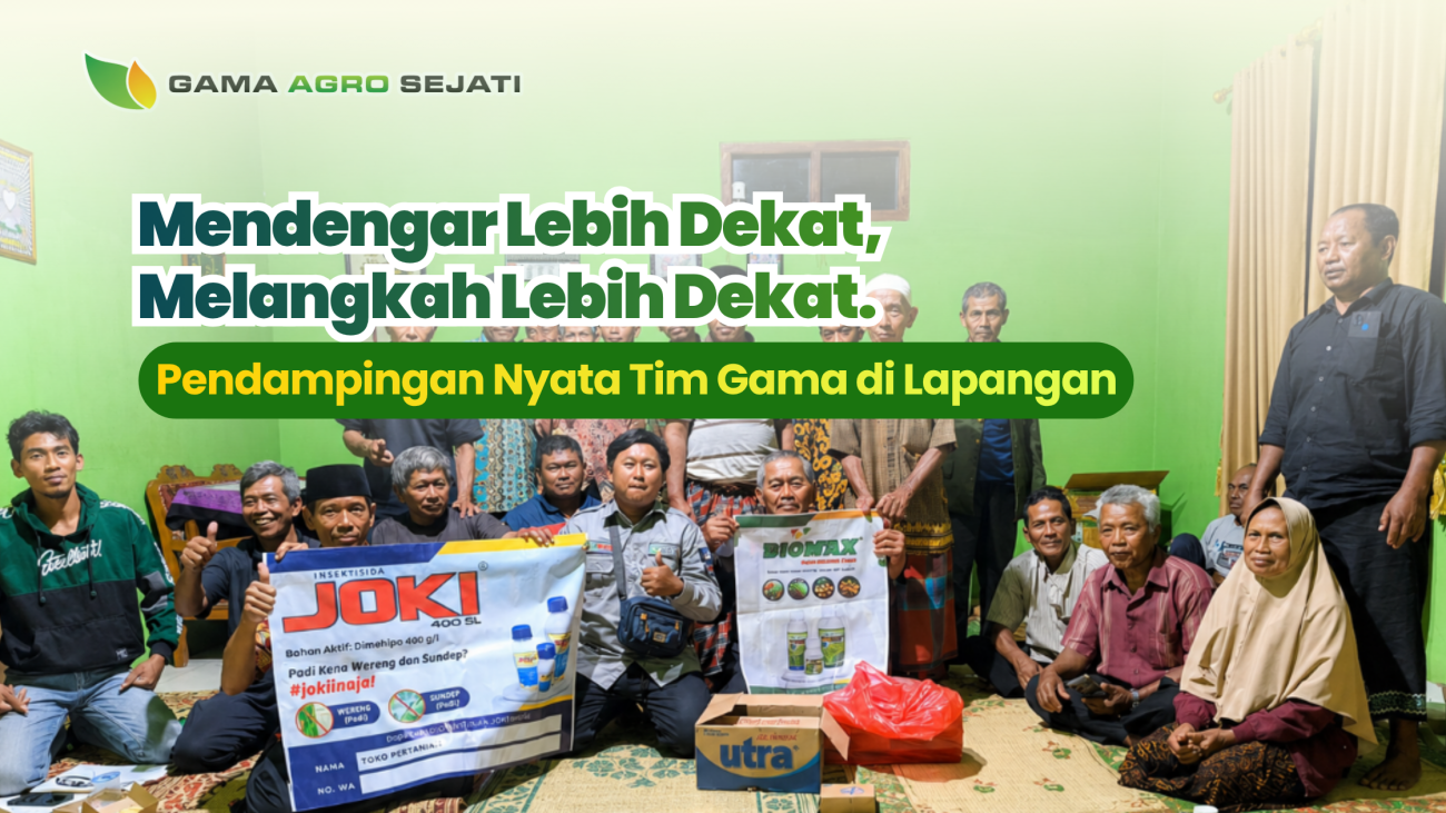 website gama (14)