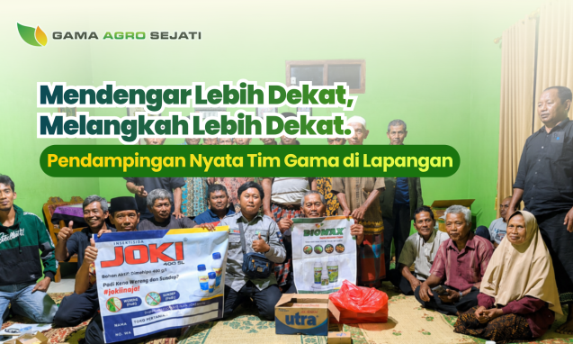 website gama (14)