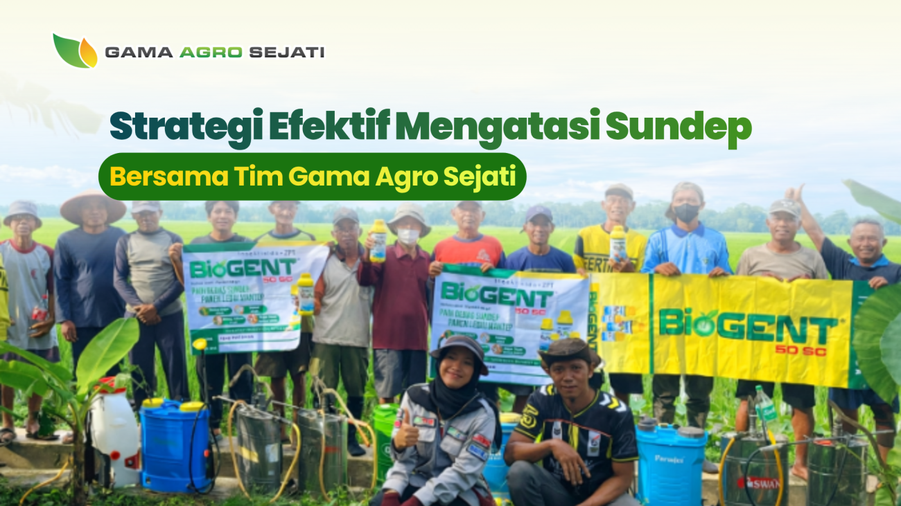 website gama (7)