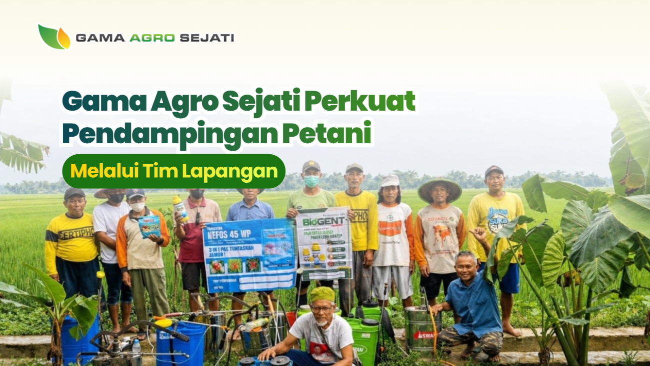website gama (15)
