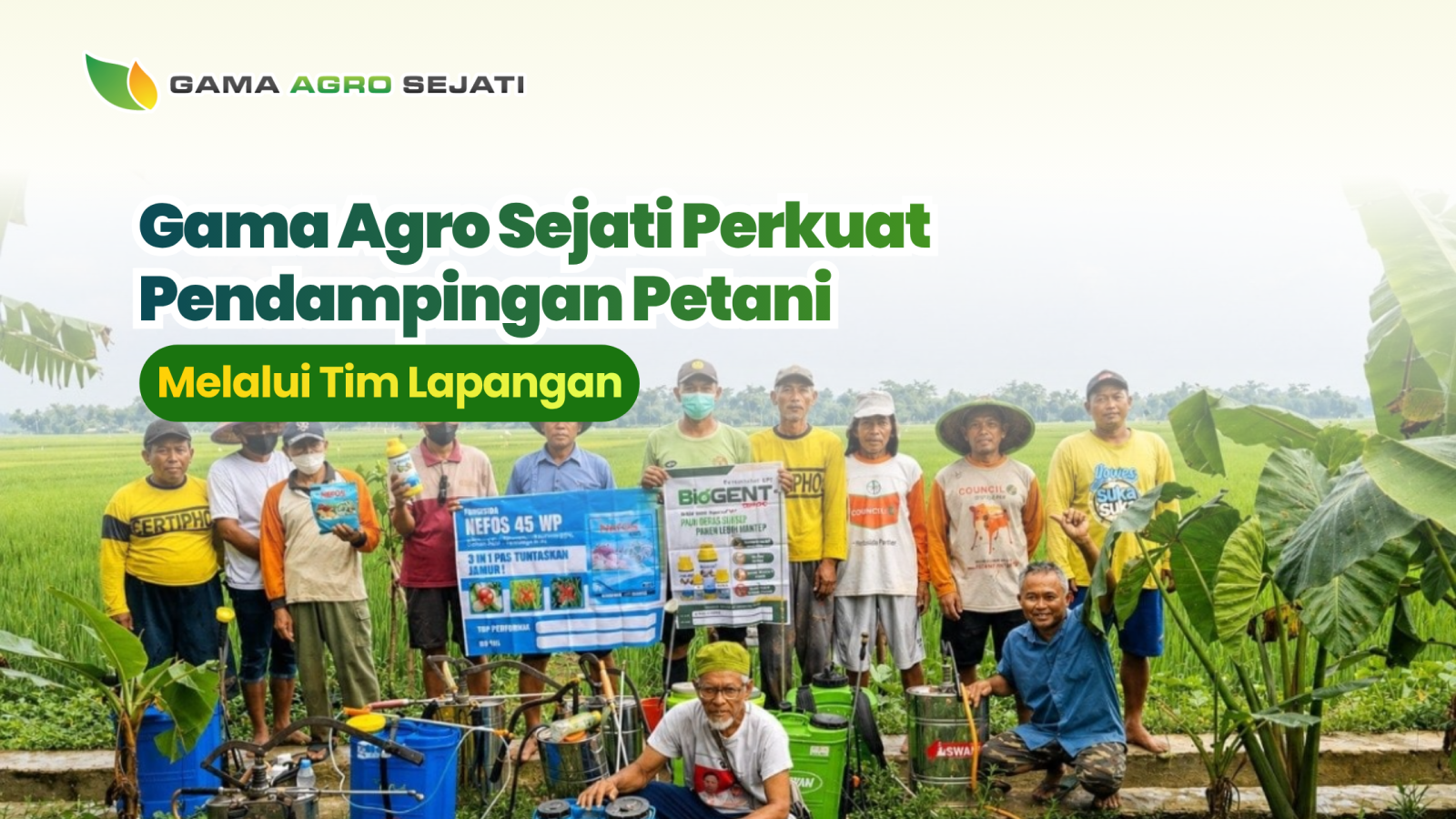 website gama (15)