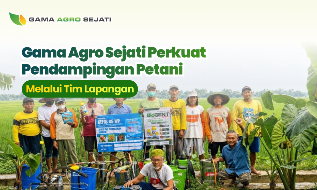 website gama (15)