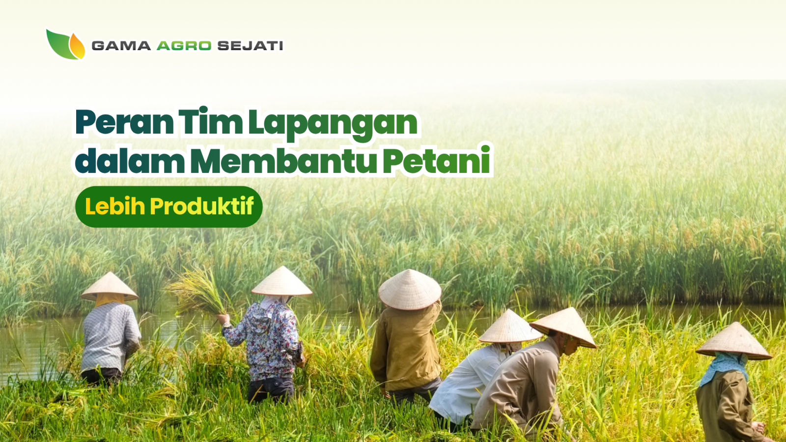 website gama (16)