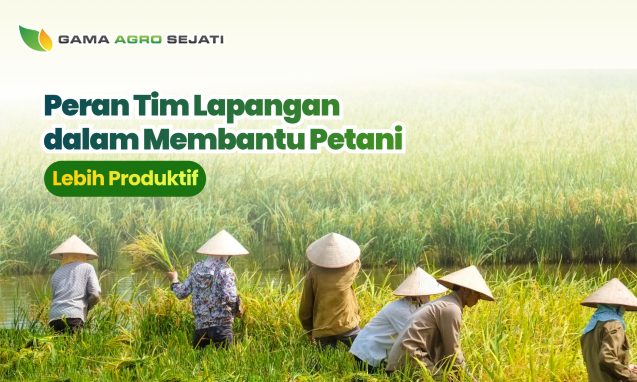 website gama (16)
