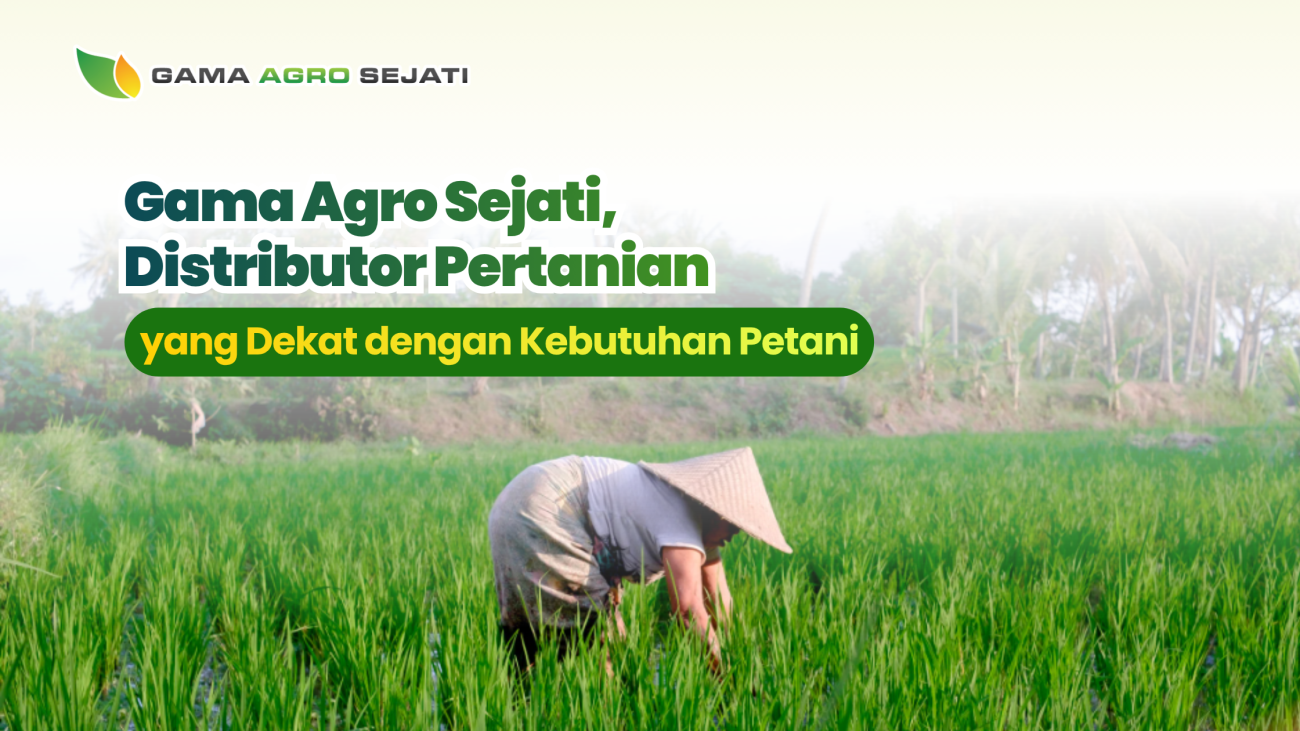 website gama (5)
