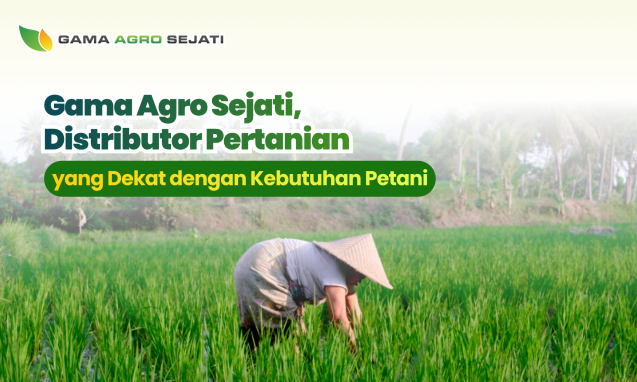 website gama (5)