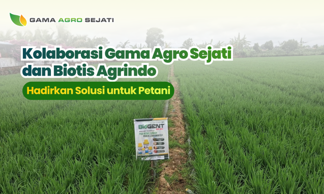 website gama (7)